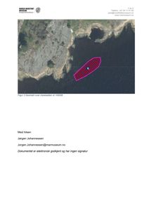 Flyfoto eller satellittbilde av et kystområde (Askeladden) med en markert geometri (rødt polygon) over et område i vannet.