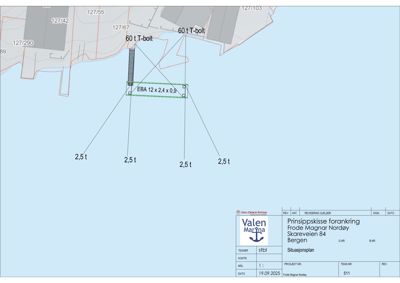 Situasjonsplan som viser plassering av en prinsippkisse forankring i forhold til naboeiendommer (tomtenummer) og havnebunn.