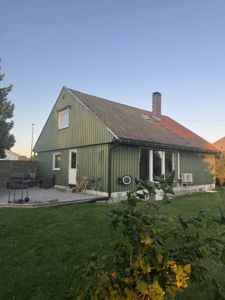 Fotografi av en grønn, enetasjes hytte med skrått tak, sett fra bakgården mot en terrasse.