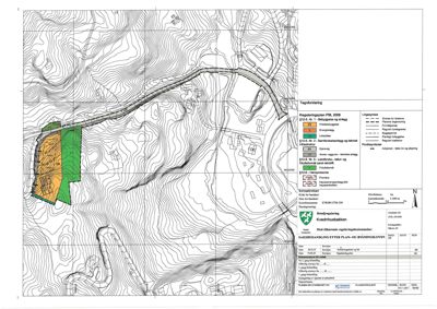 Situasjonsplan som viser tomtens beliggenhet i terrenget (konturlinjer), naboeiendommer, og planlagt bebyggelse (hus) med tilhørende arealer (f.eks. grønt og oransje fargefelt).
