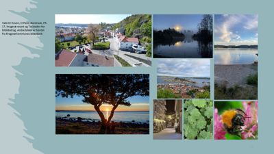 Et collage av flere fotonaturbilder (landsby, fjord, solnedgang, insekt) med en tekstnotat om takk til bildebidragsytere.