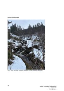 Fotografi av skog, løsmasser, motene og vegetasjon omkring Holtebekken og dalsider.