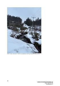 Fotografi av skog, løsmasser, motene og vegetasjon omkring Hollebekken og dalsider