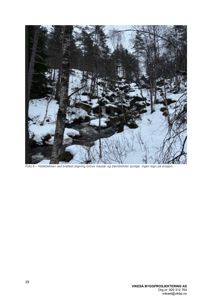 Fotografi av et snødekt landskap med skog og en bekke. Bildet viser terrenget i Holtebekken.