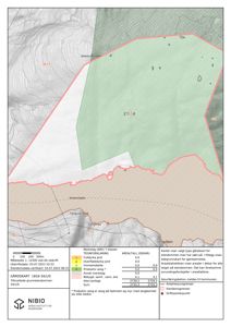 Gårdsplan med topografi, arealstatistikk og eiendomsgrenser