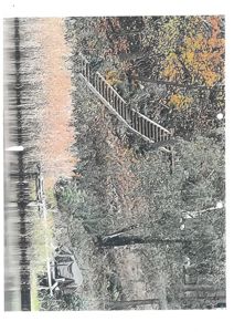 Fotografi av en utendørs scene med trapper og vegetasjon.