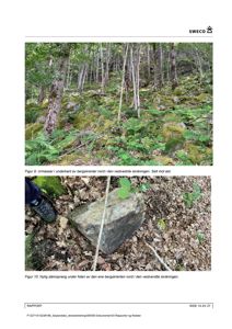 Fotografier av et terrengutsnitt med skog, fjell og steinsprang, illustrert i en rapport.