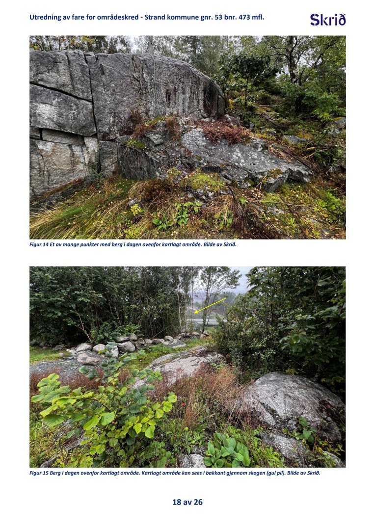 Fotografier av et bergområde med vegetasjon, tatt for å dokumentere fare for områdeskrud.