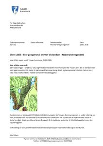 Et kart som viser et område med topografi (fjell, skog, vann) og en markert eiendom (Gbnr 125/3) i Nedstrandsvegen 801.