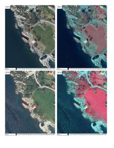 Bildet viser fire satellittbilder (fra 2019 og 2021) av en kysttomte med bygningsplassering markert. Dette er typisk for situasjonsplaner eller kart i byggesaker.