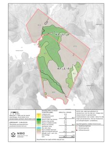 Gårdsplan (GIS-kart) som viser arealbruk, skogklasser og eiendomsgrenser for eiendom 63/3/0-63/11/0-63/17/0 m.fl.