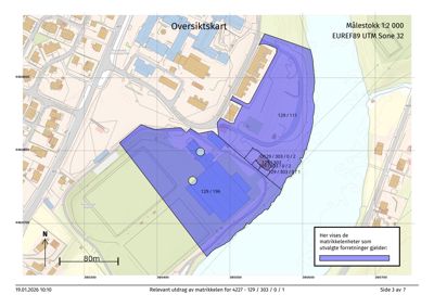 Oversiktskart som viser eiendomsgrenser, matrikkelnummer og nabolag.