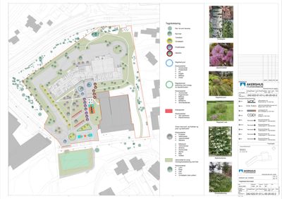 Situasjonsplan med detaljert tegning av tomt, bygninger, vegetasjon og anlegg.