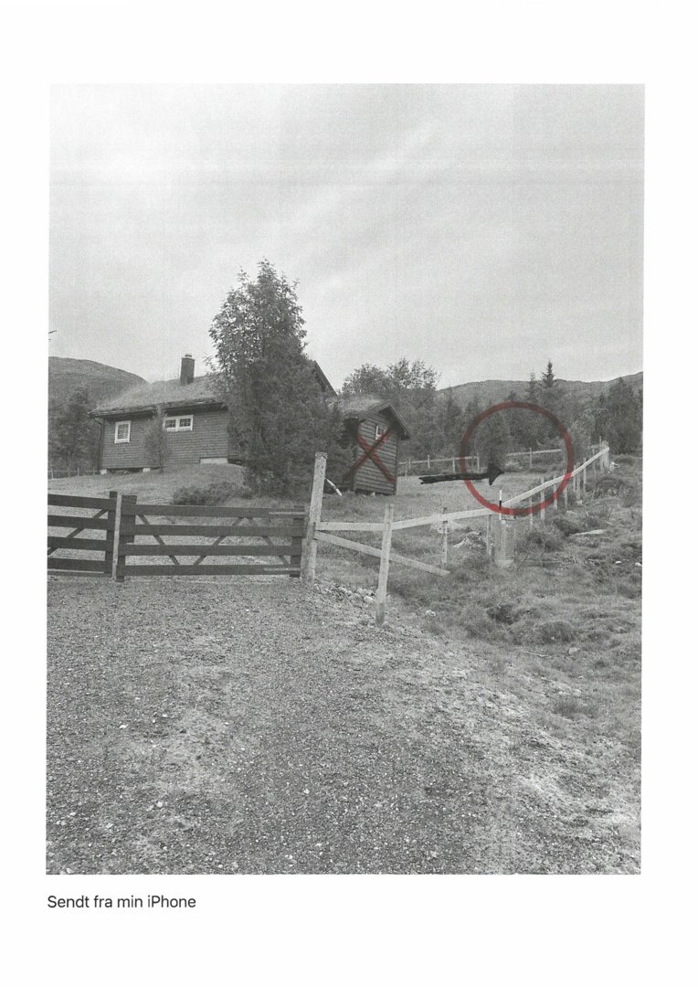 Fotografi av en eksisterende hytte og en mindre uthus på en tomt med hekk og gate.