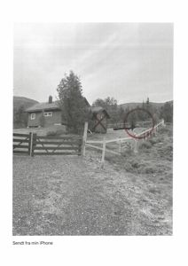 Fotografi av en eksisterende hytte og en mindre uthus på en tomt med hekk og gate.