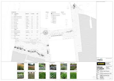 Situasjonsplan (Plantel/site) som viser beplantning, stier og bygningers plassering på tomten.