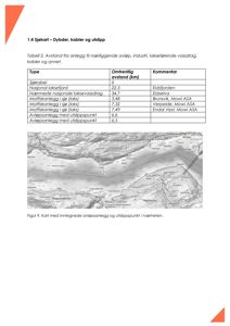 Kart over et geografisk område med innleste avløpsanlegg og utslippspunkt, samt en tabell med avstander til nærliggende infrastruktur.