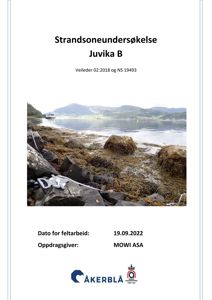 Fotografi av en kyststrand med steiner, tang og vann i bakgrunnen, tatt som del av en strandsoneundersøkelse.