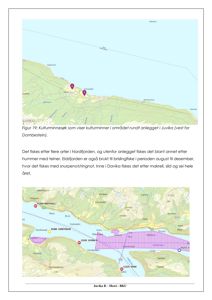 Bildet viser to kart som illustrerer et kulturmiljøområde og fiskeområder i Juvika. Det øverste kartet er en kulturmiljøoversikt med markerte funnsteder, mens det nedre kartet viser fiskeområder (f.eks. 'JUVIKA 6') og fartøyposisjoner.