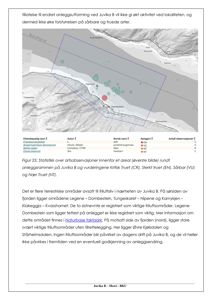 Kart over et område ved Juvika B som viser topografi, vannveier og observasjoner av artsforekomster.