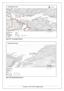 Kart som viser lokalisering av tareskog- og skjellsandforekomster i et kystområde, med koordinater og lag-info.