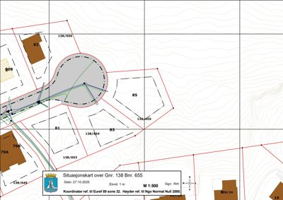 Situasjonskart som viser eiendomsinndeling, vegforløp og topografi for Gnr. 138 Bnr. 655.