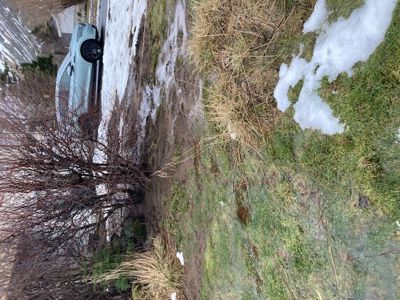 Fotografi av en bil parkert på en snødekt hage eller tomte med busker og snøflekker.