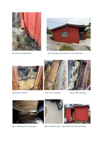 En samling fotografier som dokumenterer skader, fukt og skadedyr på en hytte, inkludert bilder av fasade, isolasjon og underbygning.