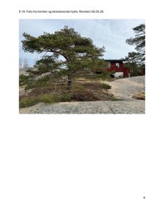 Fotografi av tomten med en stor gran i forgrunnen og en rød hytte i bakgrunnen.