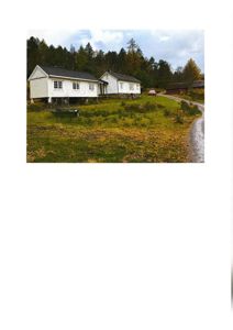 Fotografi av to hvite hytter på en grønn, skogkledt tomt med en vei i bakgrunnen.