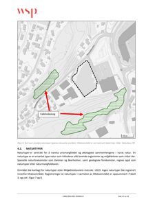 Kart over utvalgte naturtyper i nærheten av et tiltaksområde, med oppgitt kilde (Naturbase) og skala.