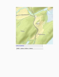 Et digitalt kart (topografisk) som viser terrengform, veier og stedsnavn i et område.