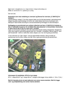 Et satellittbilde (flyfoto) av eiendom med overlagte gule polygoner som viser bygningers fotavtrykk og blå polygoner for vannkropper.