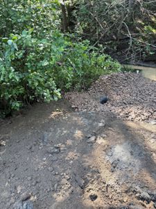 Fotografi av et utendørs område med jord, grus, vegetasjon og en liten vannløp i bakgrunnen.