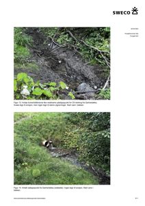 Fotografier av kulvertutløp og bekkeområder med tilhørende beskrivende tekster.