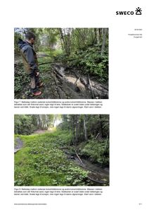 Fotografier av bekkeløp mellom kulvertstikkrenne, med beskrivende tekst under.