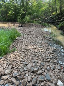 Fotografi av et terreng med stein, grus og en liten bekk eller vannløp i en skogkant.