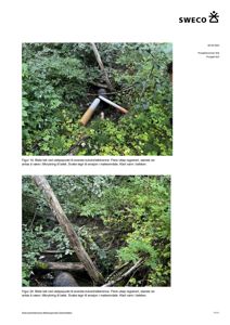 Fotografier av utløpspunkt til kulvert/stikkrenne i et naturområde med vegetasjon og rør.