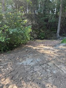 Fotografi av et terreng med skog i bakgrunnen og en liten bekk eller vannløp.