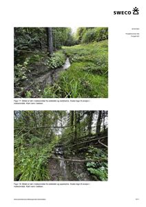 Fotografier av et bekkeområde med vegetasjon og vannstrømning, illustrerende erosjon i et møteområde.