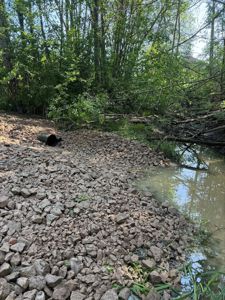 Fotografi av et utendørs område med grus, vann og skog.
