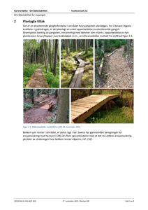 Fotografier som viser ulike planlagte tiltak for gangstier og broer i et skogområde.