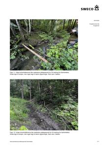 Fotografier av et bekkeløp i skog, med tekstbeskrivelser under hver bilde.