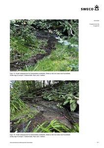 Fotografier av en bekke (Gartnerleikta) med utsikt mot et utslippspunkt, inkludert beskrivende tekst om erosjon og vannkvalitet.