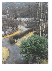 Fotografi av et område med vei, hegn, busker og trær, med bygninger i bakgrunnen.