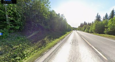 Satellittbilde eller kartutsnitt fra Google Maps som viser en vei (F38) i et skogområde.