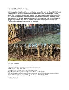 Fotografi av et terrengområde med trær og overflatevann, inkludert en del av en bygning i bakgrunnen.