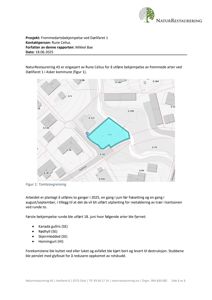 Tomteavgrensing og situasjonsplan som viser bygningenes plassering i forhold til hverandre og omgivelsene.