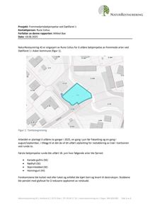 Tomteavgrensing og situasjonsplan som viser bygningenes plassering i forhold til hverandre og omgivelsene.