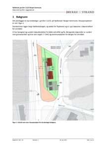 Situasjonsplan som viser plassering av planlagte boliger i forhold til veier, støysoner og topografi.